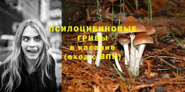 марихуана Беломорск