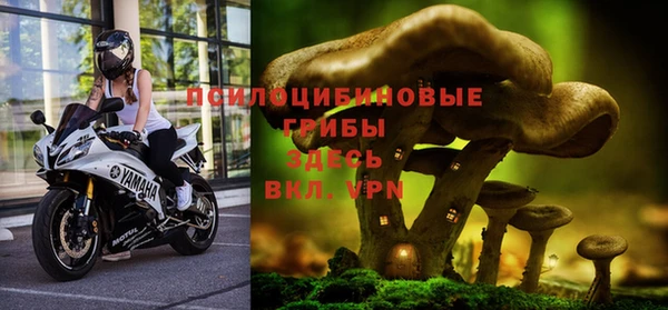 прущий лед Белоозёрский