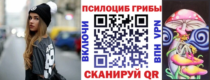 Галлюциногенные грибы Psilocybe  Белгород 